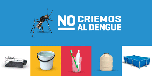 500x250-DENGUE